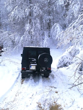 Mercedes-Benz G 300 PUCH 300 GD, снимка 4