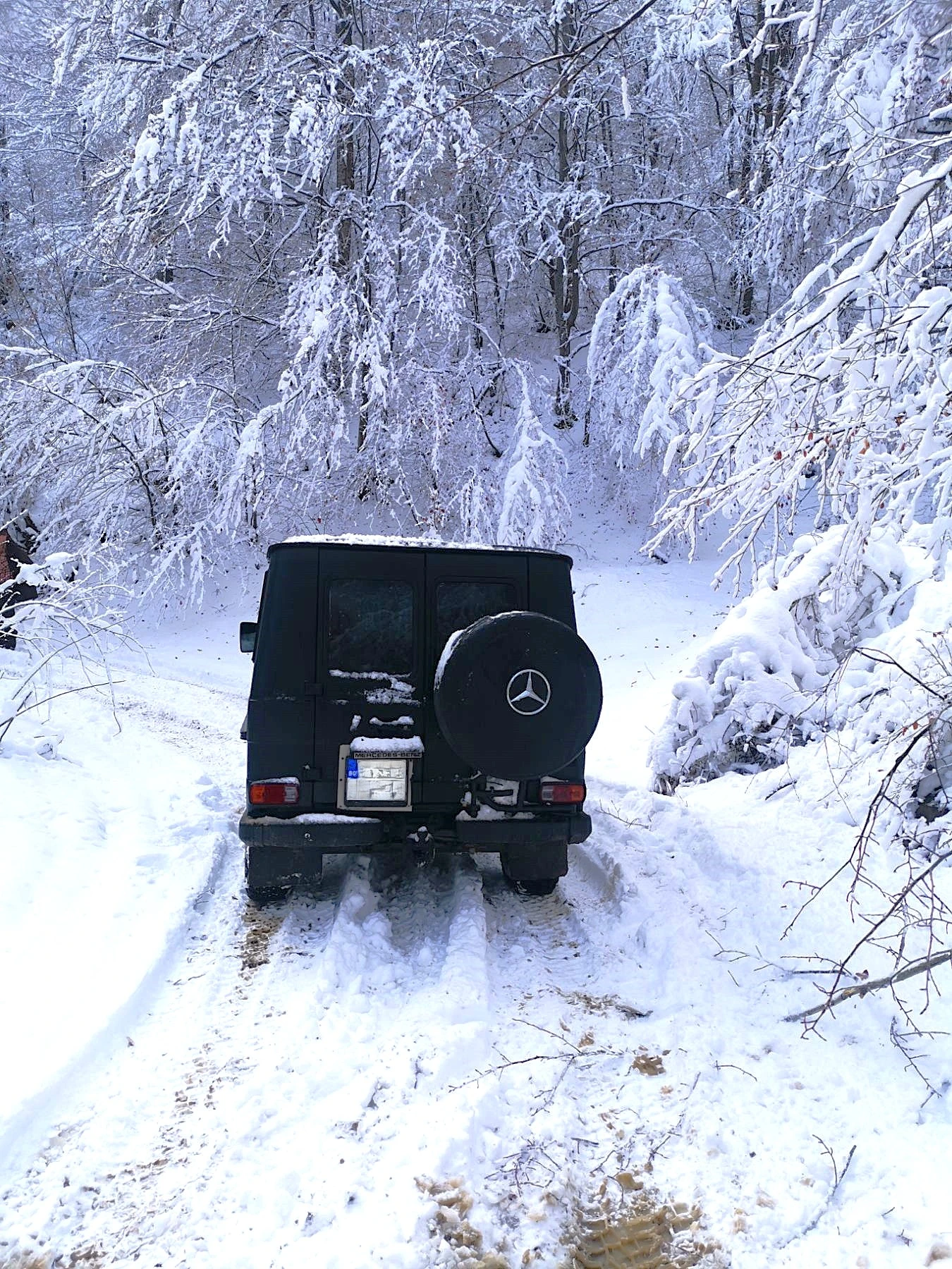 Mercedes-Benz G 300 PUCH 300 GD, снимка 4 - Автомобили и джипове - 55653951