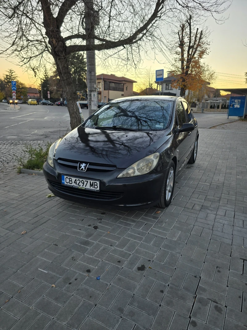 Peugeot 307 HDI 110hp, снимка 2 - Автомобили и джипове - 48682097