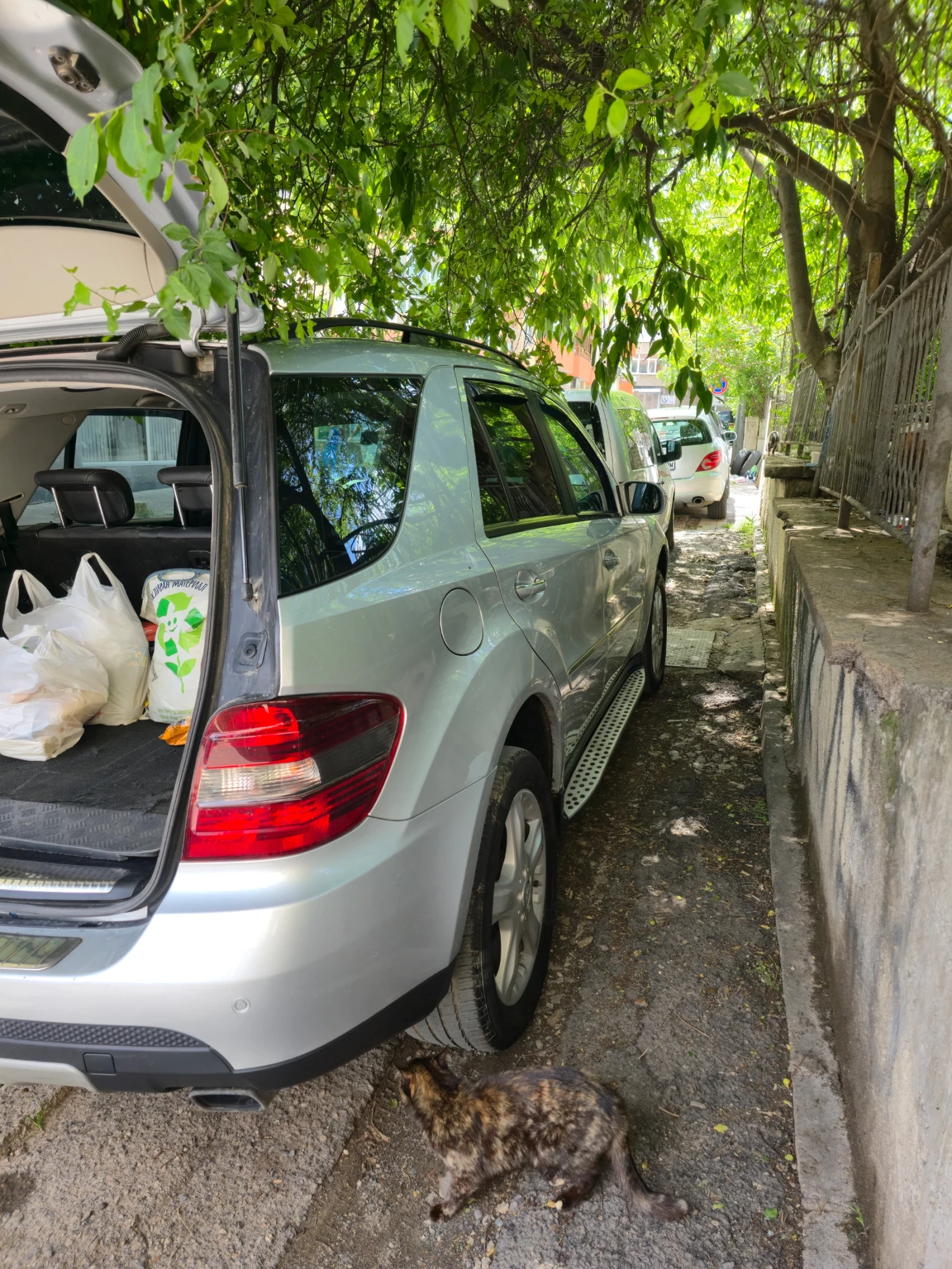 Mercedes-Benz ML 320 SPORT | Mobile.bg � ����������� 11