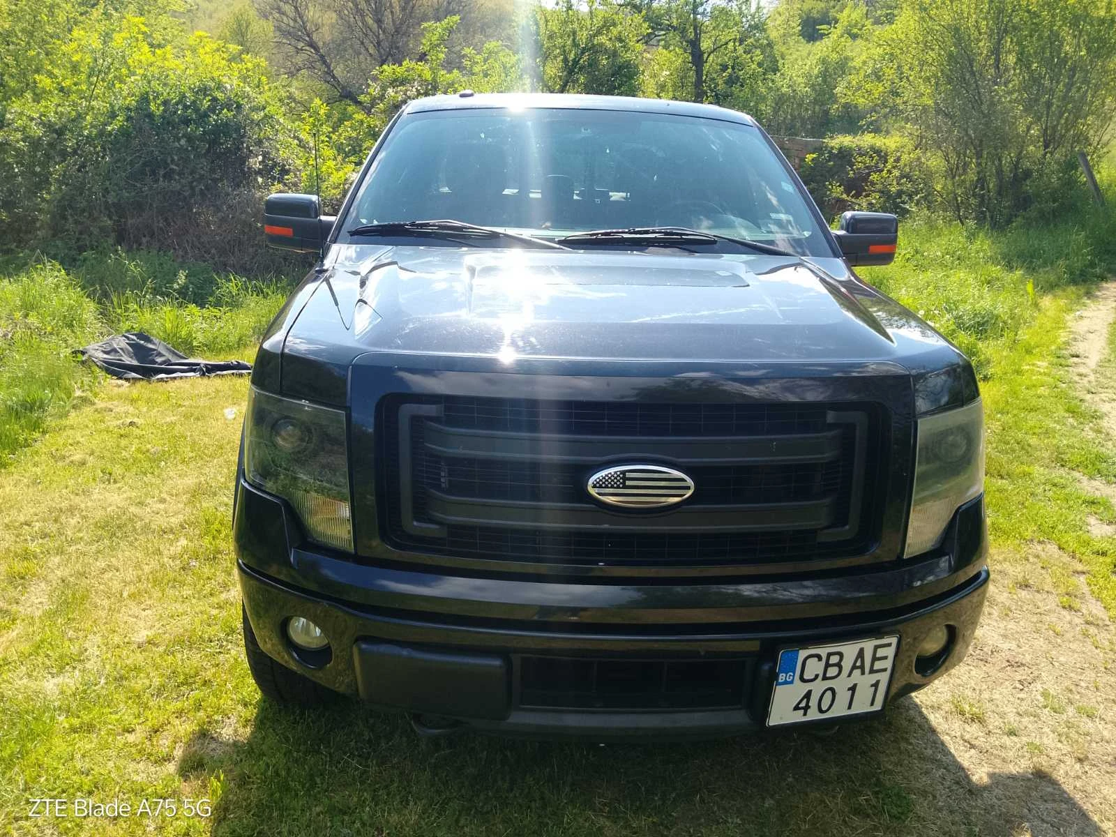Ford F150  - изображение 3