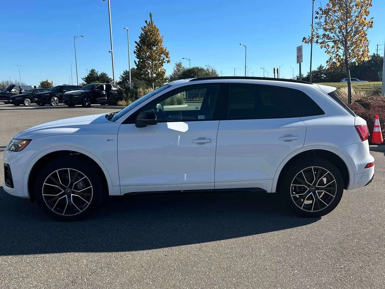 Audi Q5 * Progressiv * CARFAX * ��������� * ���� *  | Mobile.bg � ����������� 3