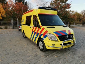     Mercedes-Benz Sprinter 319  