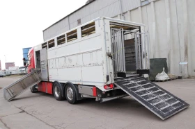 Scania R 490 ��������, ���������� | Mobile.bg � ����� ������ 6