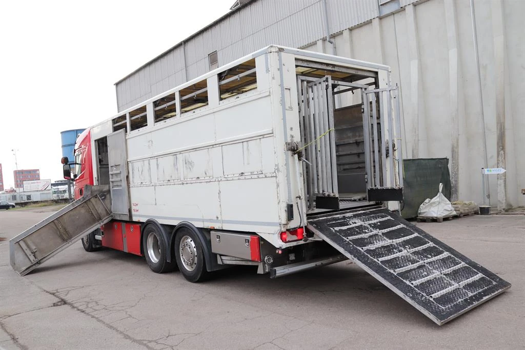 Scania R 490 ��������, ���������� | Mobile.bg � ����������� 6