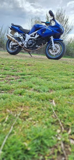 Suzuki SV 650S, снимка 5