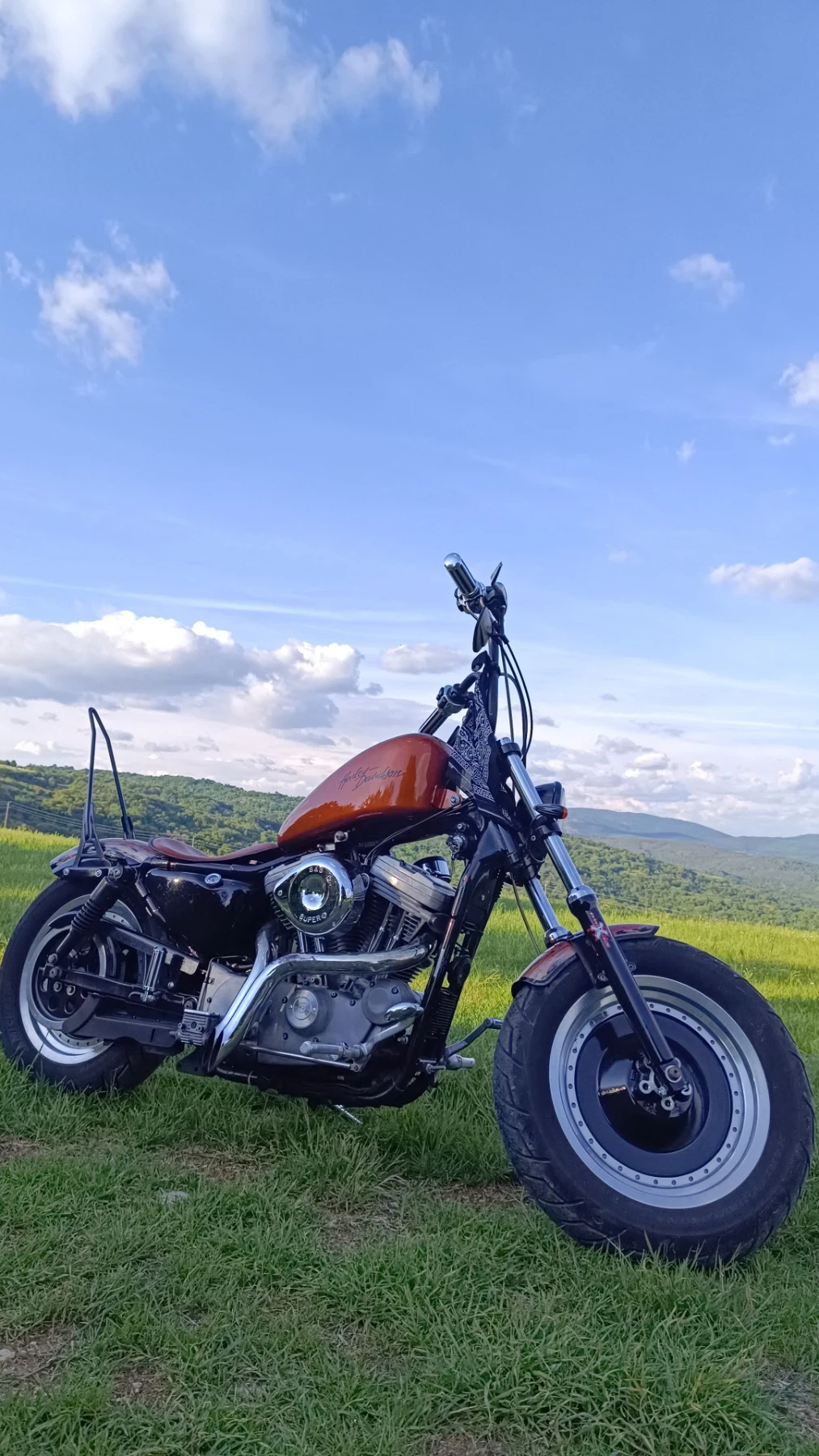 Harley-Davidson Sportster, снимка 4 - Мотоциклети и мототехника - 54544042