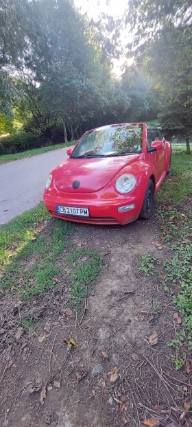 VW Beetle Кабриоле, снимка 5