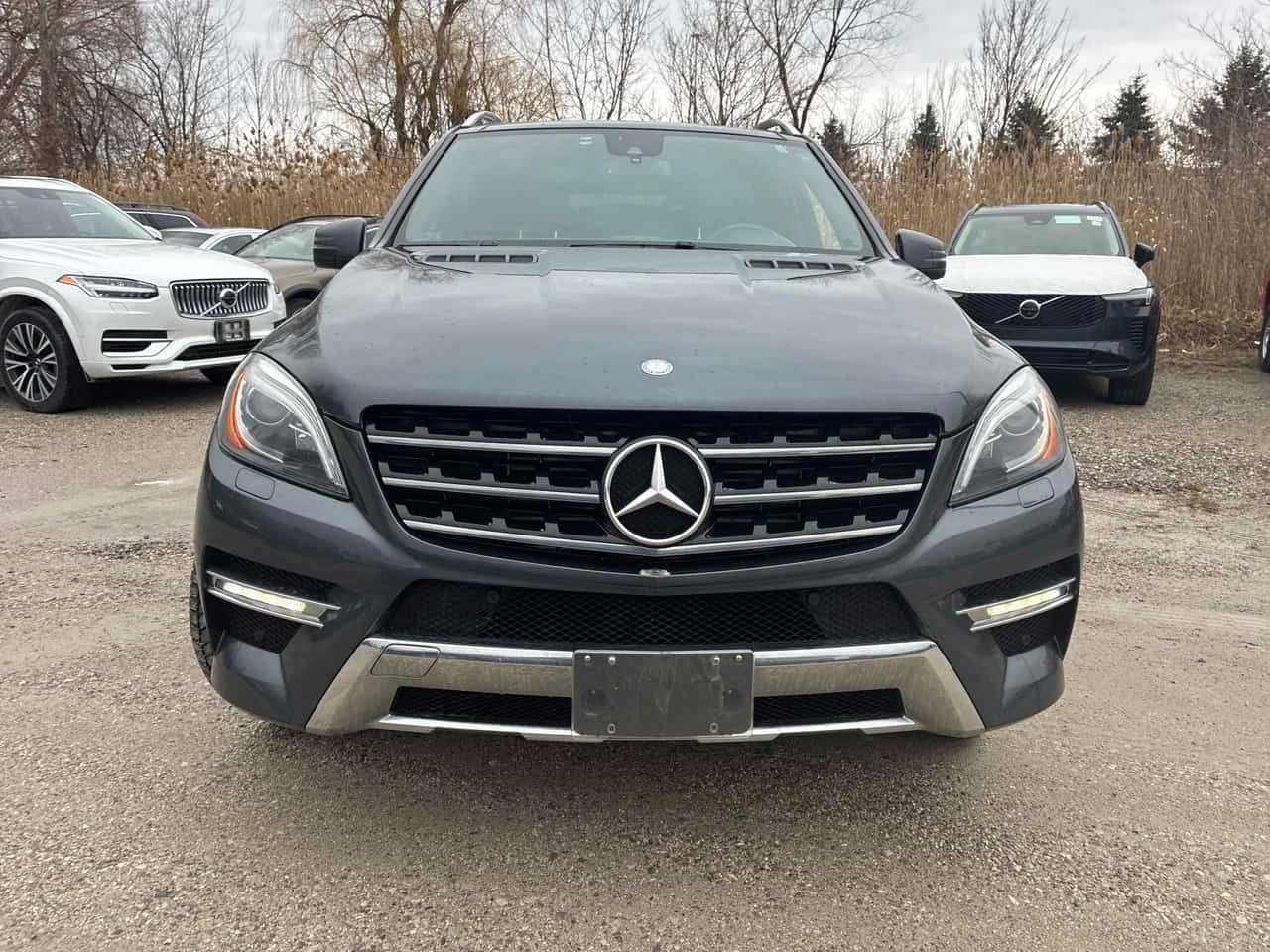 Mercedes-Benz ML 350 * BlueTEC * CARFAX * ЦЕНА ДО БГ, снимка 2 - Автомобили и джипове - 54305239