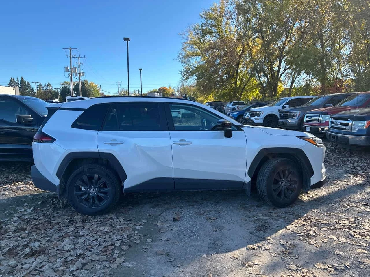 Toyota Rav4 XLE * ���� * BLIND SPOT * AWD * CARFAX *  | Mobile.bg � ����������� 4
