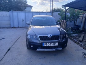 Skoda Octavia Скаут 