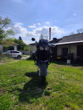 Triumph Tiger 955i, снимка 9