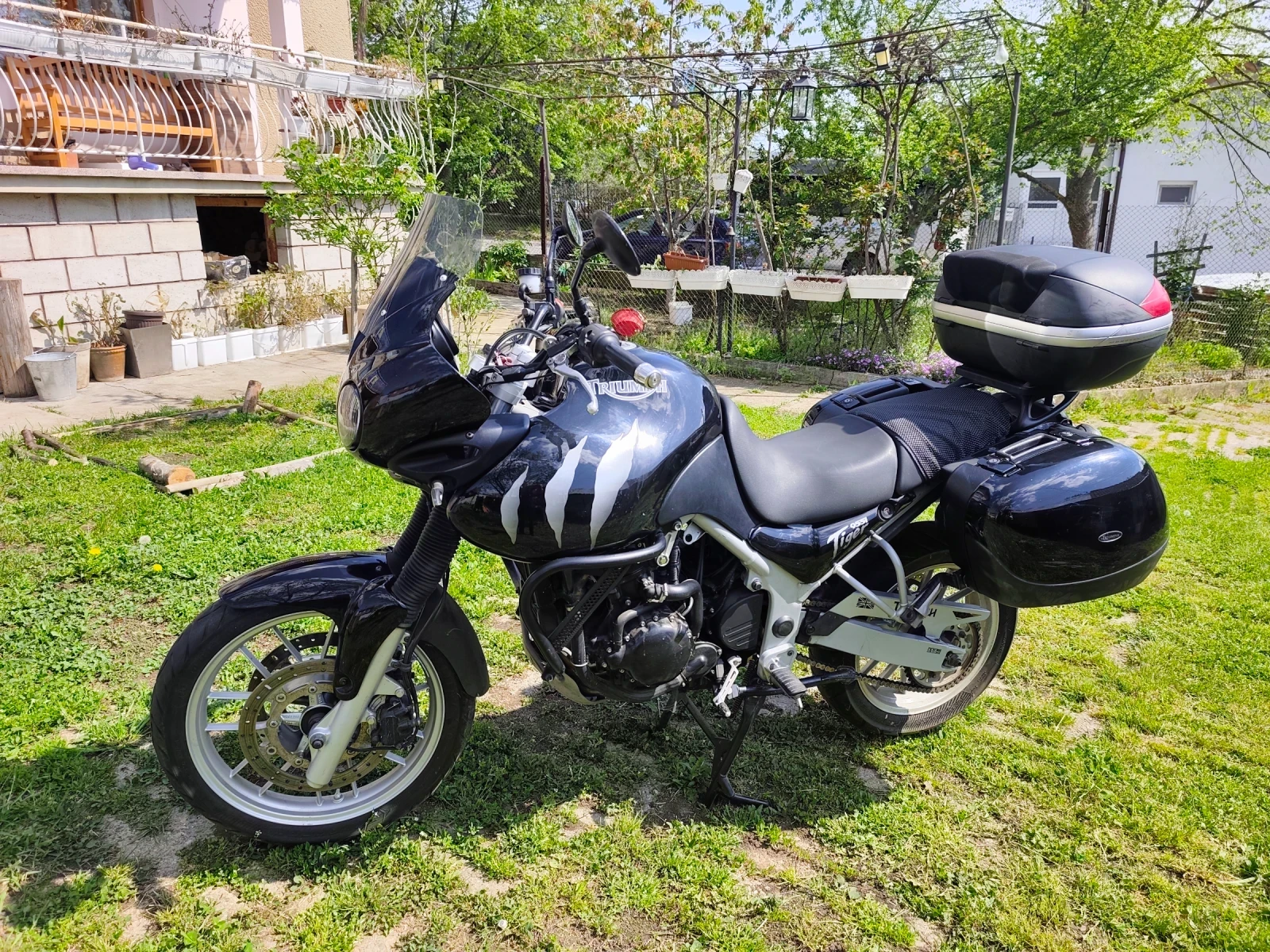 Triumph Tiger 955i, снимка 2 - Мотоциклети и мототехника - 56299479
