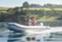 Обява за продажба на Надуваема лодка Honda Marine T40 AE3 ~3 450 лв. - изображение 7