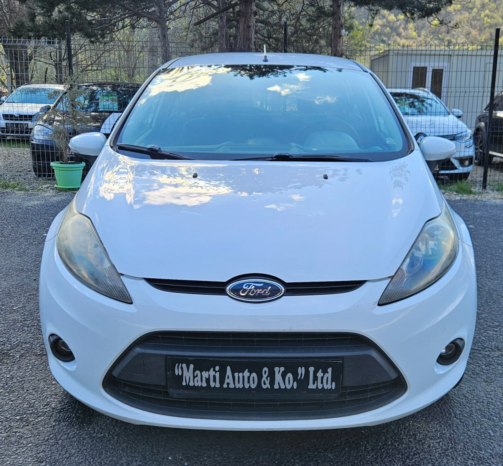 Ford Fiesta 1.6 TDCI - изображение 3