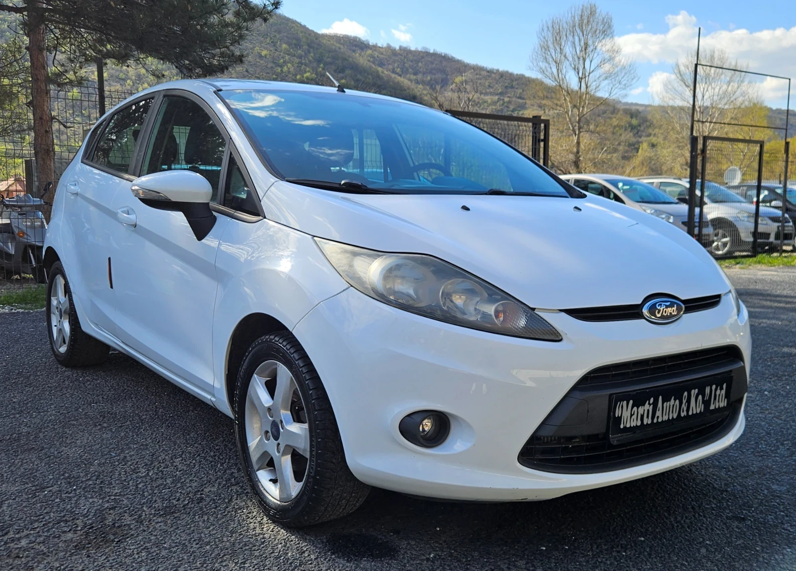 Ford Fiesta 1.6 TDCI - изображение 4