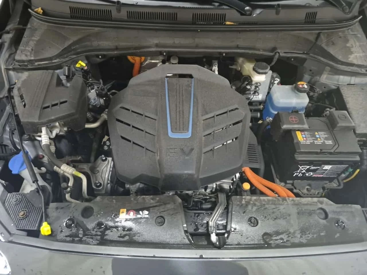 Hyundai Kona, снимка 16 - Автомобили и джипове - 56724639