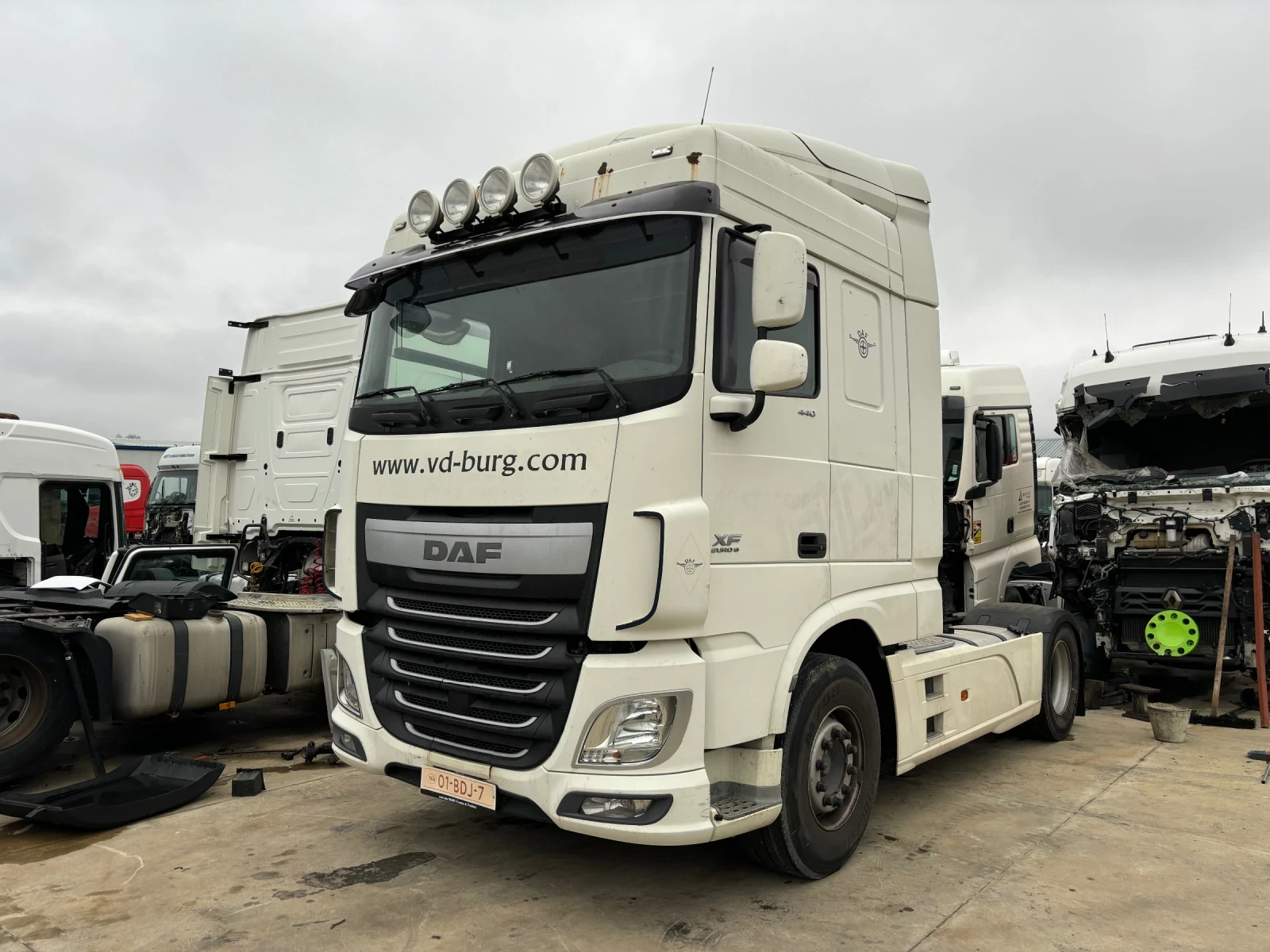 Daf FT XF 106  440 | Mobile.bg   1