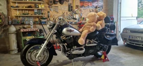     Kawasaki Vulcan Classic 