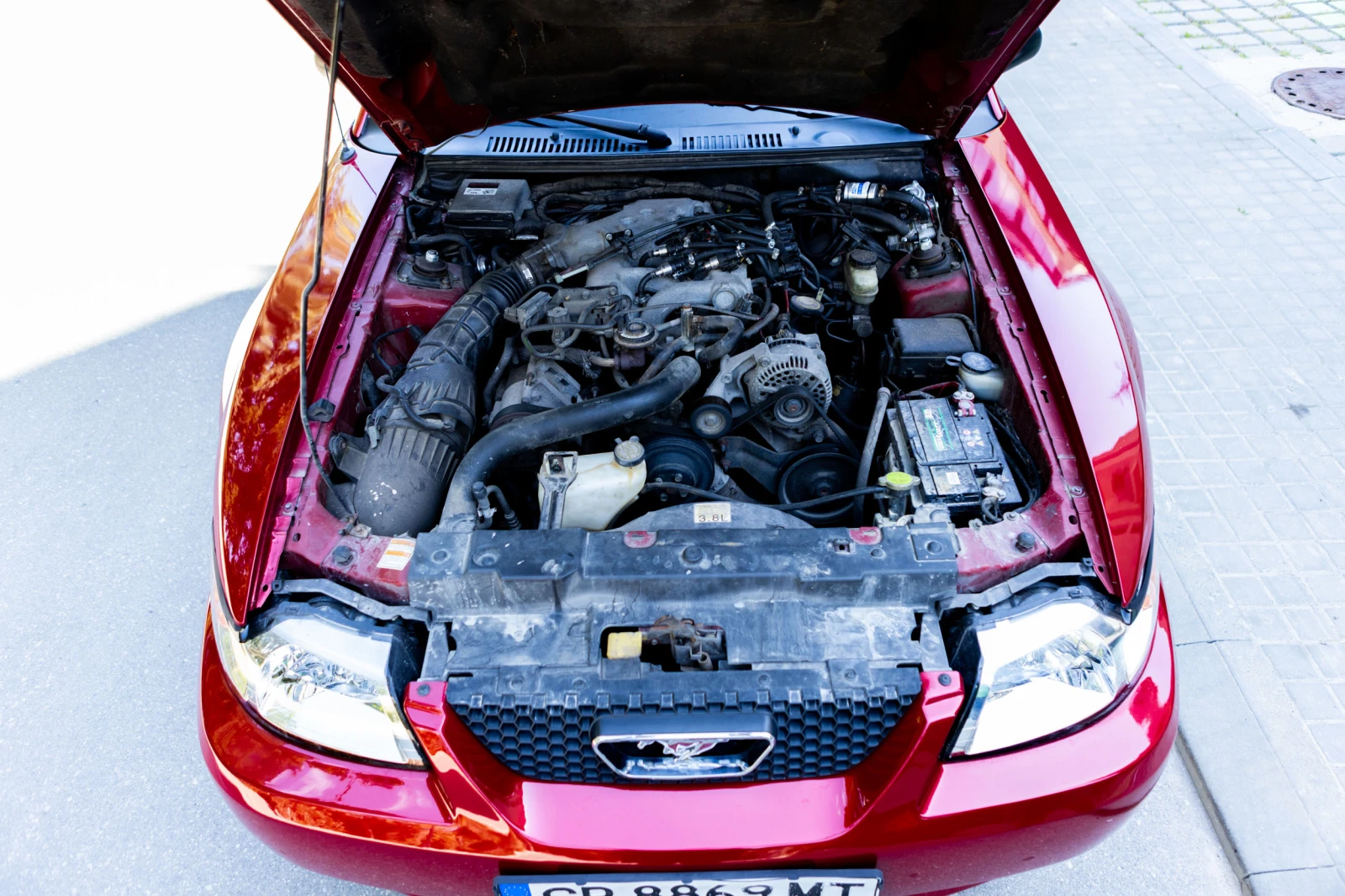 Ford Mustang LPG, снимка 16 - Автомобили и джипове - 55662065