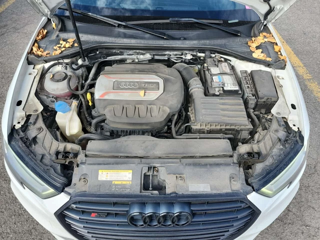 Audi S3 * PROGRESSIV * CARFAX * ����� �� ����������� | Mobile.bg � ����������� 17