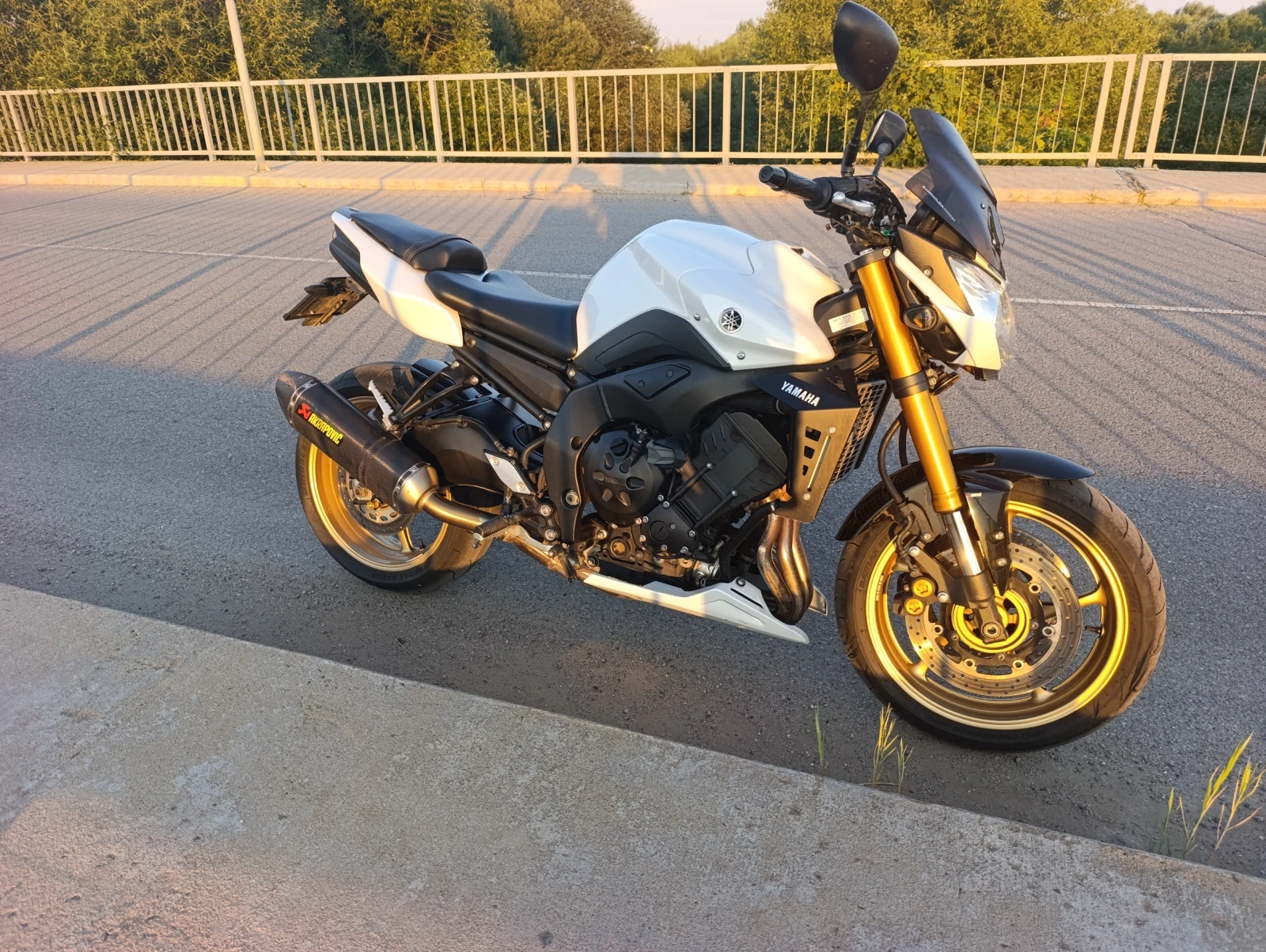 Yamaha FZ8 FZ8, снимка 3 - Мотоциклети и мототехника - 56073722