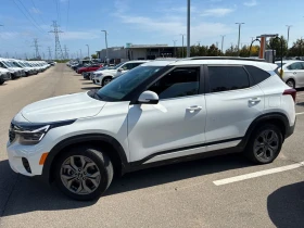 Kia Seltos * EX * CARFAX *    | Mobile.bg    2