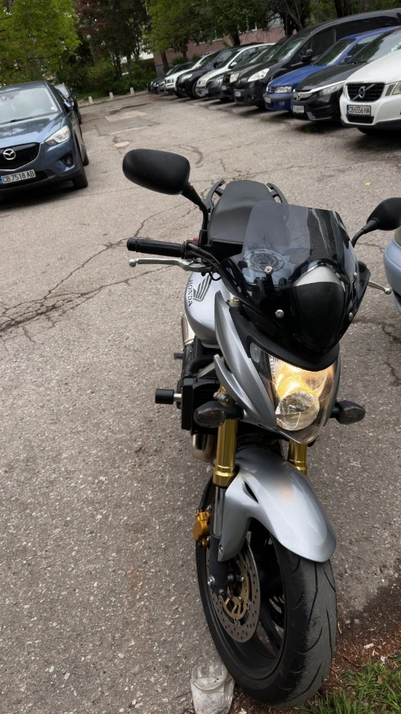 Honda Hornet