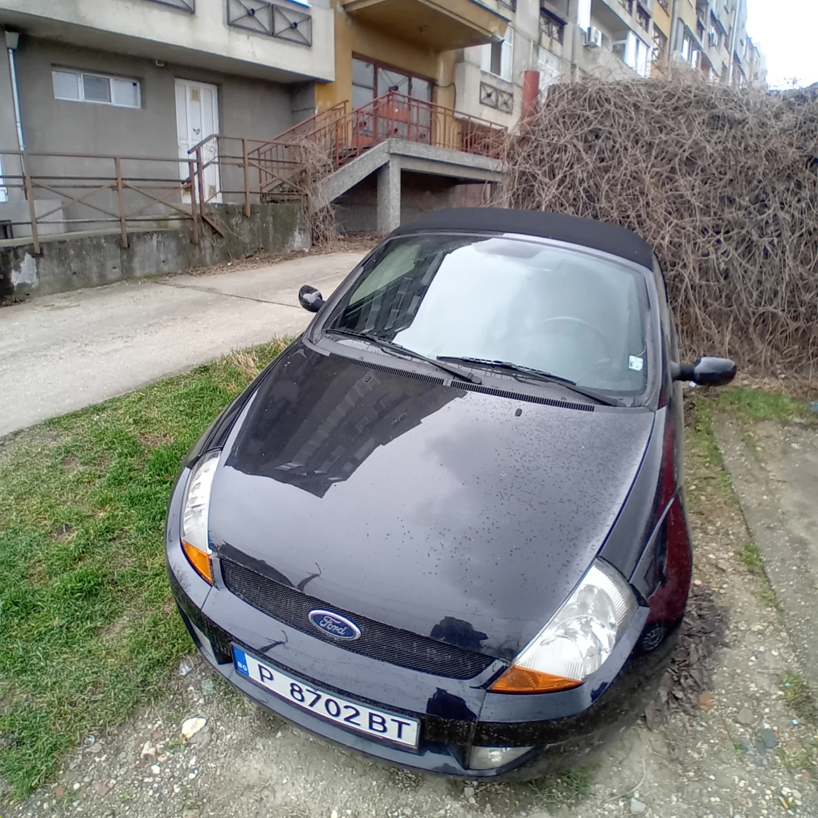 Ford Streetka, снимка 3 - Автомобили и джипове - 53935005