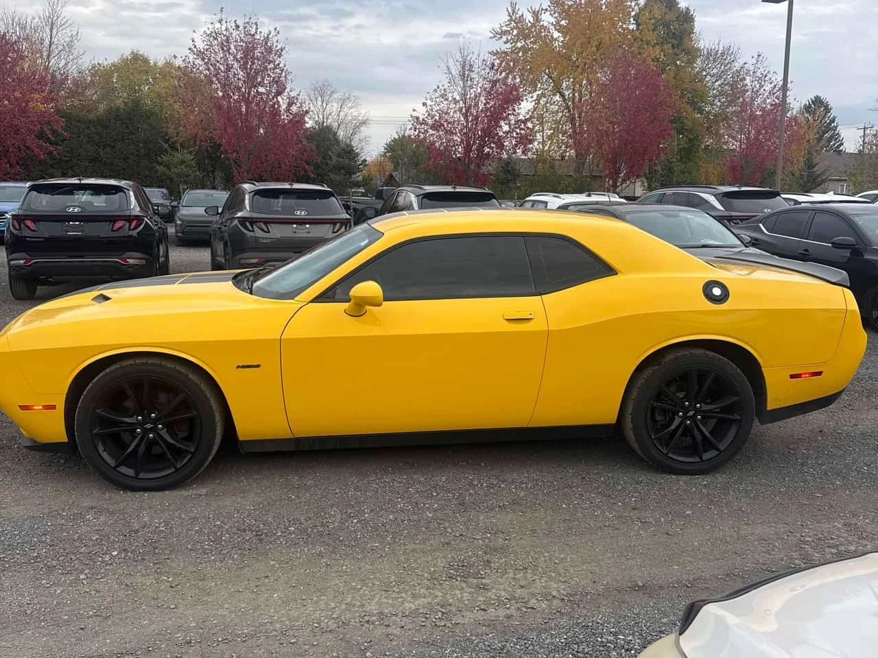 Dodge Challenger *  R/T * CARFAX * ФИНАНСИРАНЕ * , снимка 2 - Автомобили и джипове - 56747122