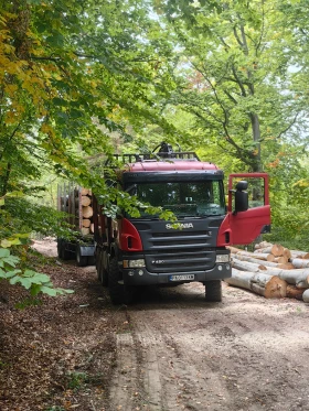  Scania P 420