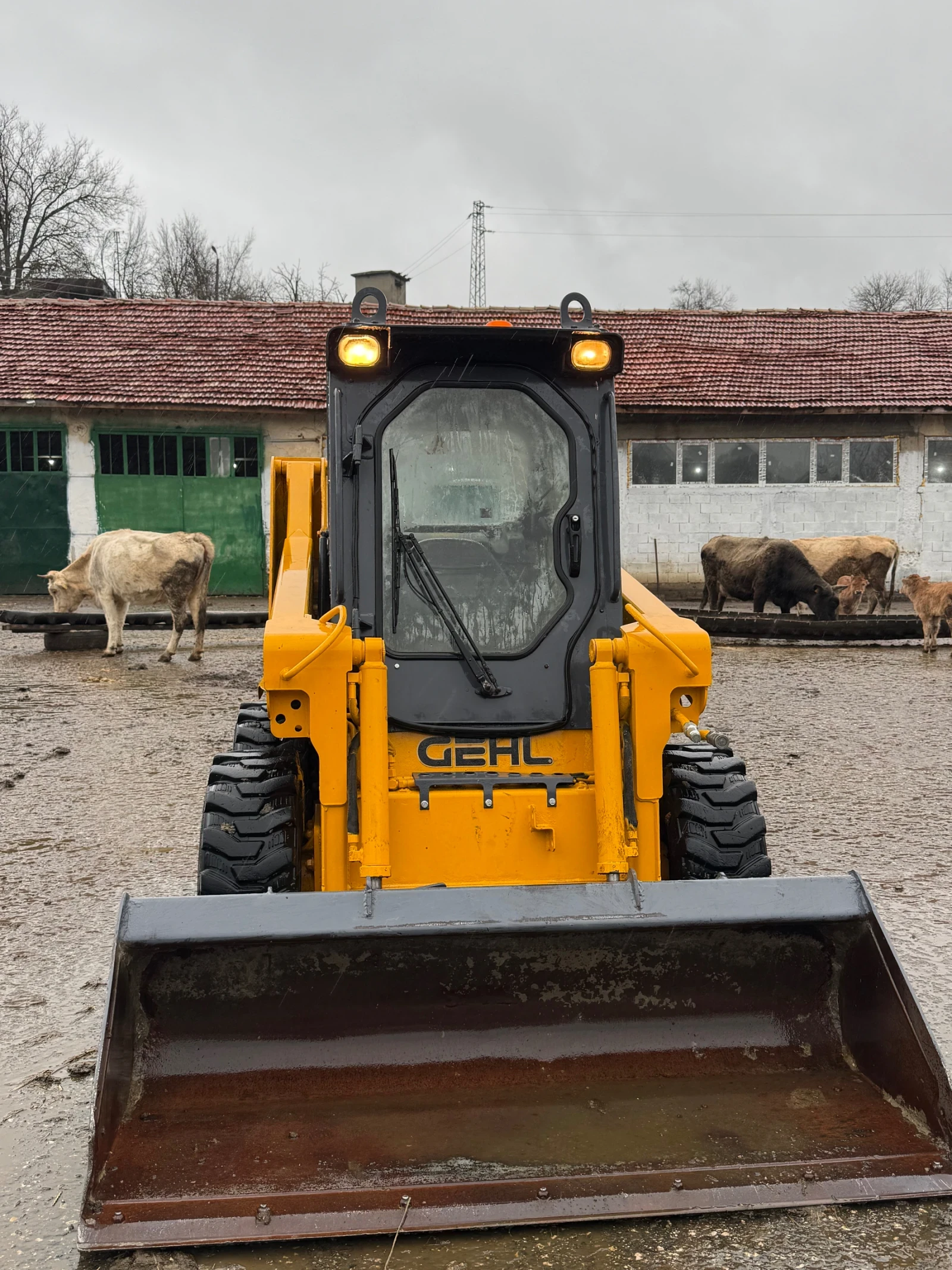 Мини челни товарачи GEHL 5240, снимка 1