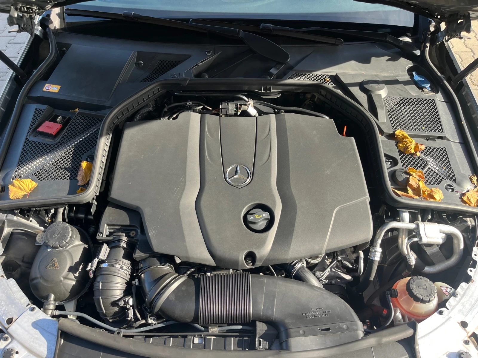 Mercedes-Benz C 220 BLUETEC * AMG* pack | Mobile.bg � ����������� 17