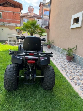 Telstar Sport 250cc, снимка 4