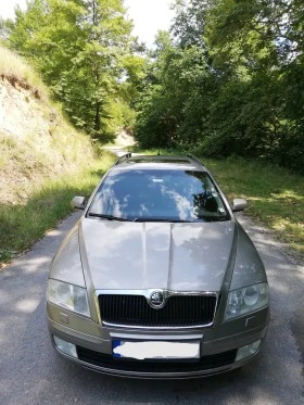 Skoda Octavia TDI, DSG, снимка 1