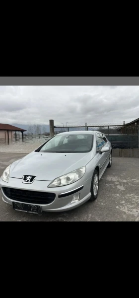  Peugeot 407