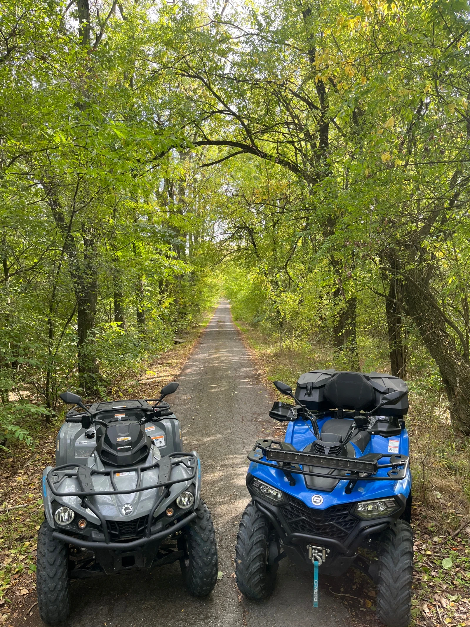 Cfmoto CFORCE 450L - изображение 5