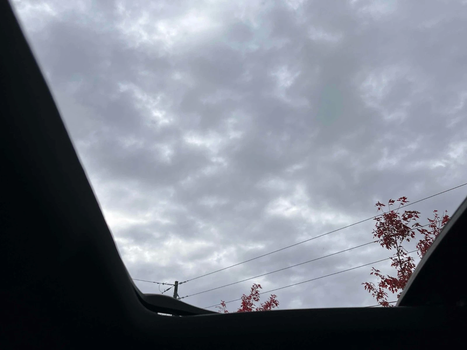 Audi S3 CARFAX    | Mobile.bg   11