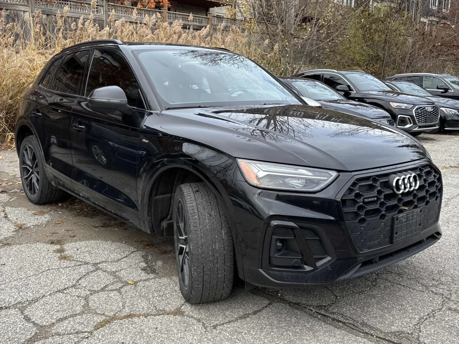 Audi Q5 * CARFAX * ��� ������������ ������ | Mobile.bg � ����������� 3