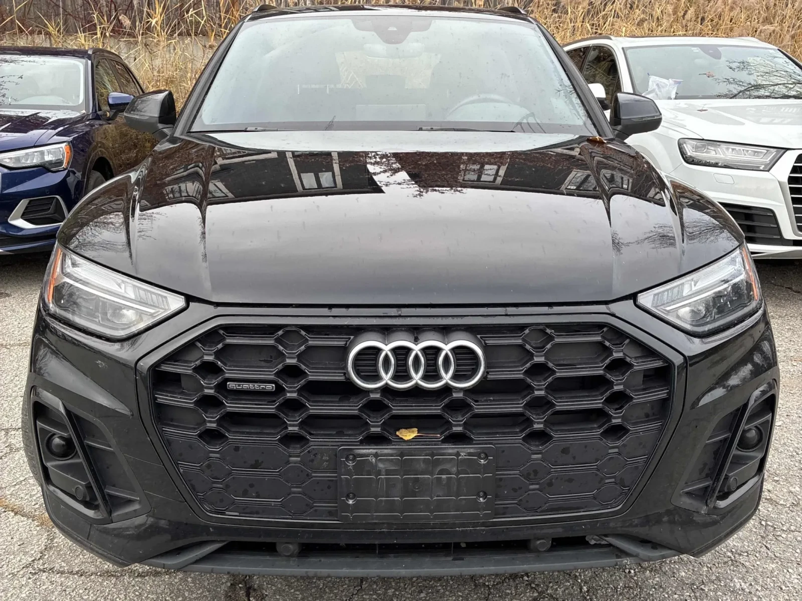 Audi Q5 * CARFAX * ��� ������������ ������ | Mobile.bg � ����������� 2