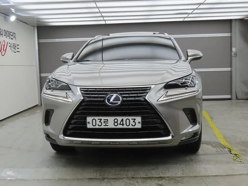 Lexus NX 300Executive, снимка 2 - Автомобили и джипове - 56271031