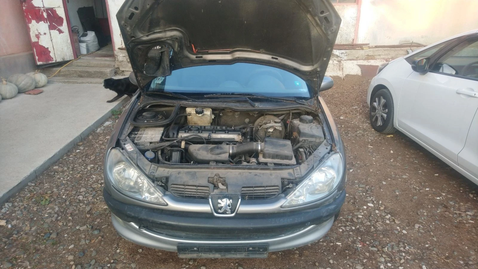 Peugeot 206 2.0 136 - изображение 3