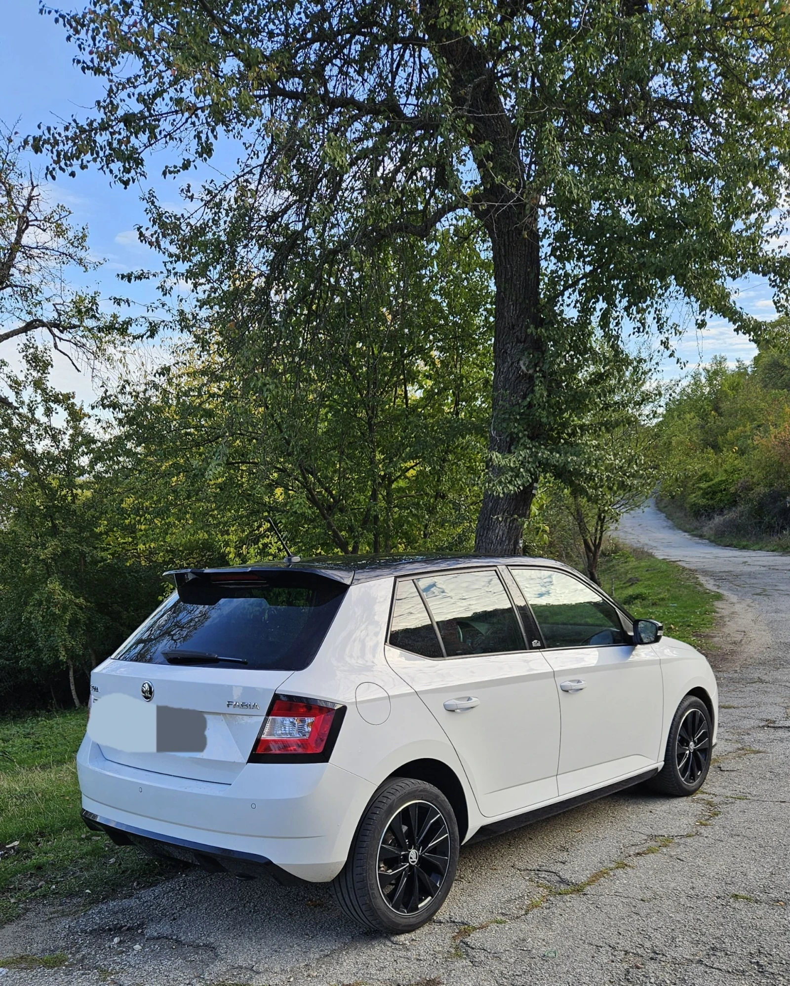 Skoda Fabia 110 TSI - изображение 4