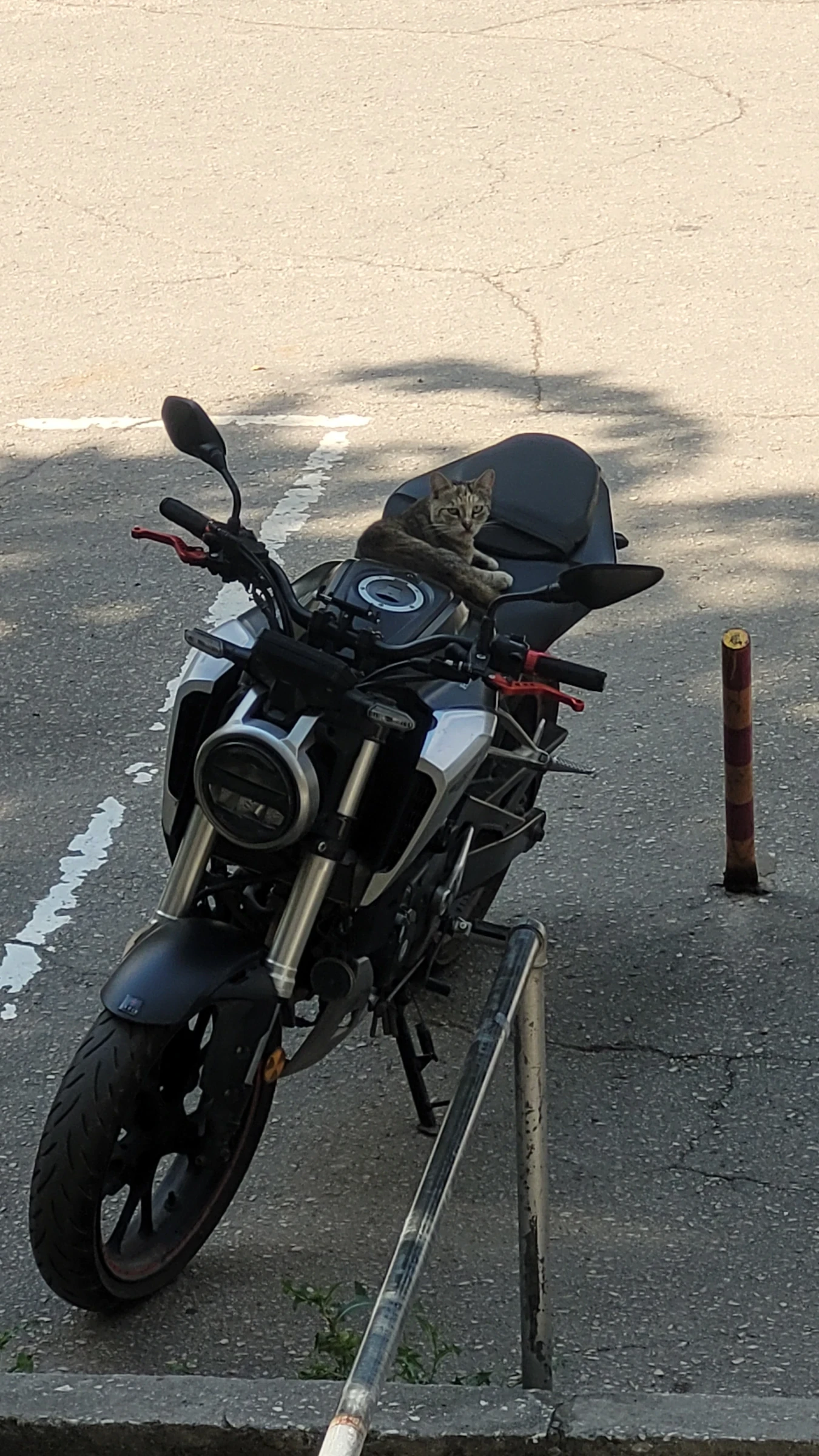 Honda Cb, снимка 5 - Мотоциклети и мототехника - 53809709