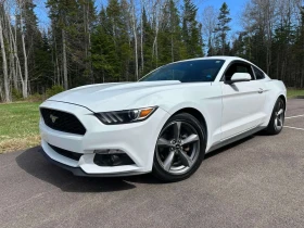 ������ Ford Mustang