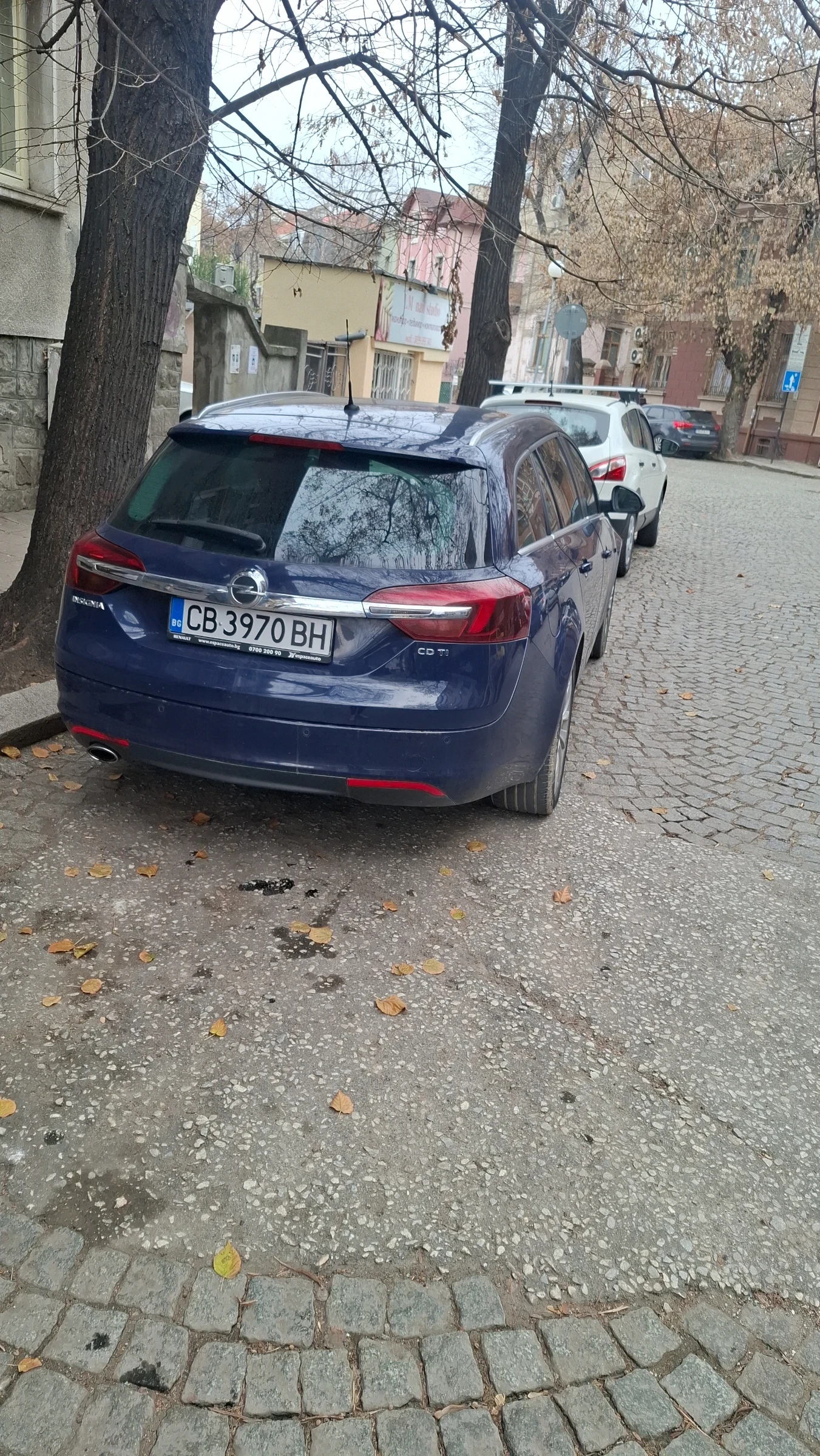 Opel Insignia  sports tourer sw, снимка 1