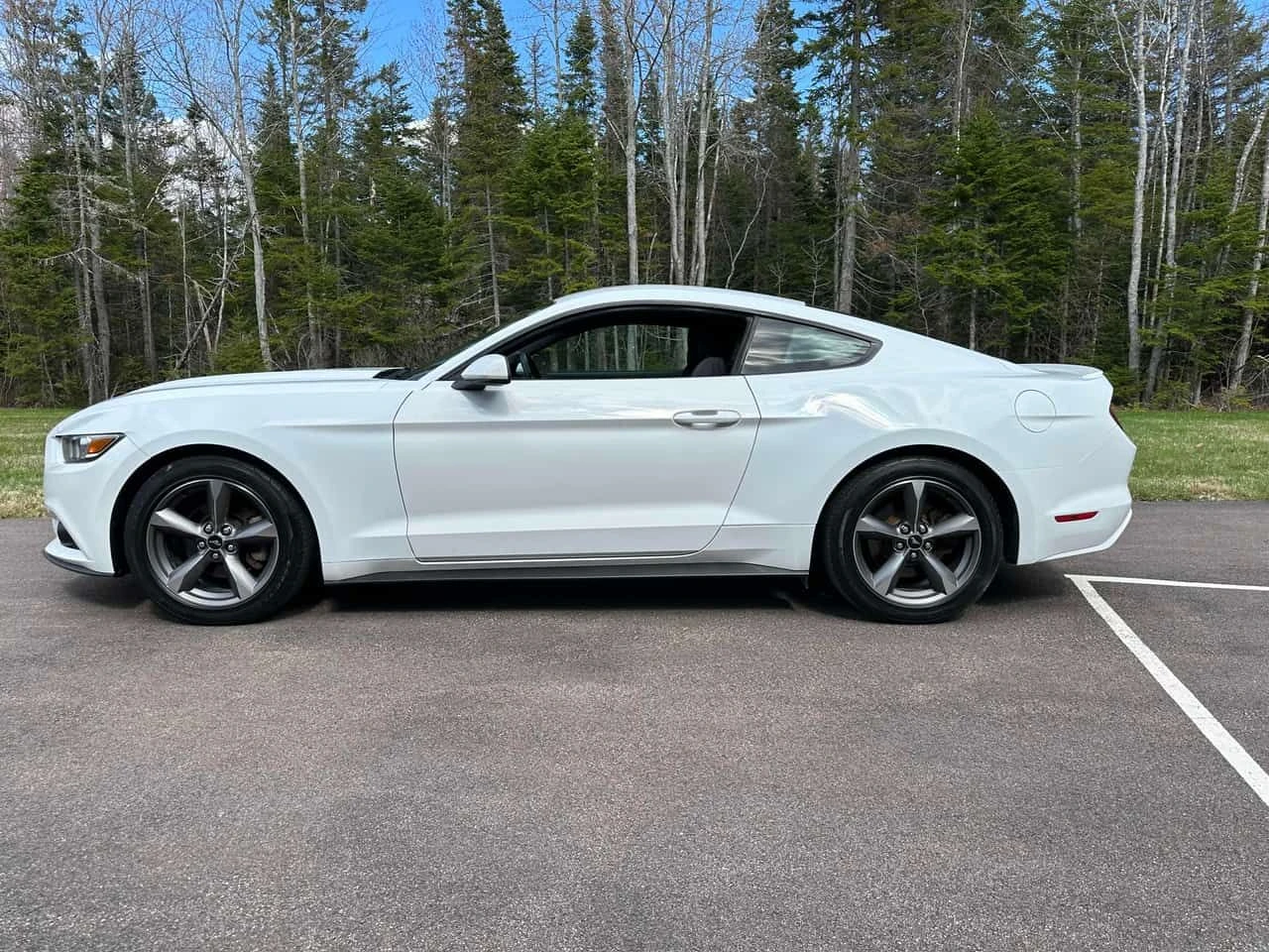 Ford Mustang V6| ДВА КЛЮЧА| CARFAX, снимка 3 - Автомобили и джипове - 54419049