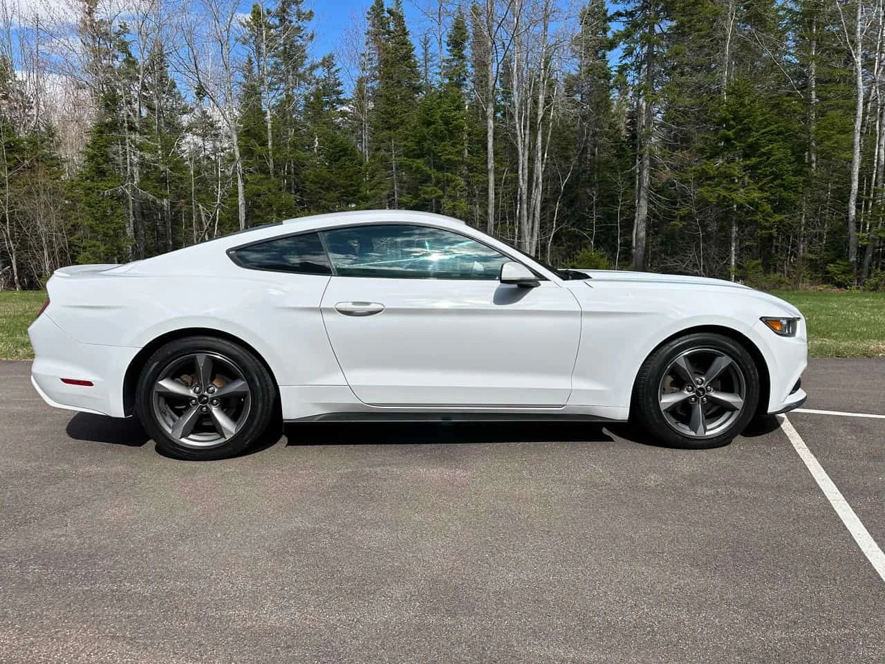 Ford Mustang V6| ДВА КЛЮЧА| CARFAX, снимка 4 - Автомобили и джипове - 54419049