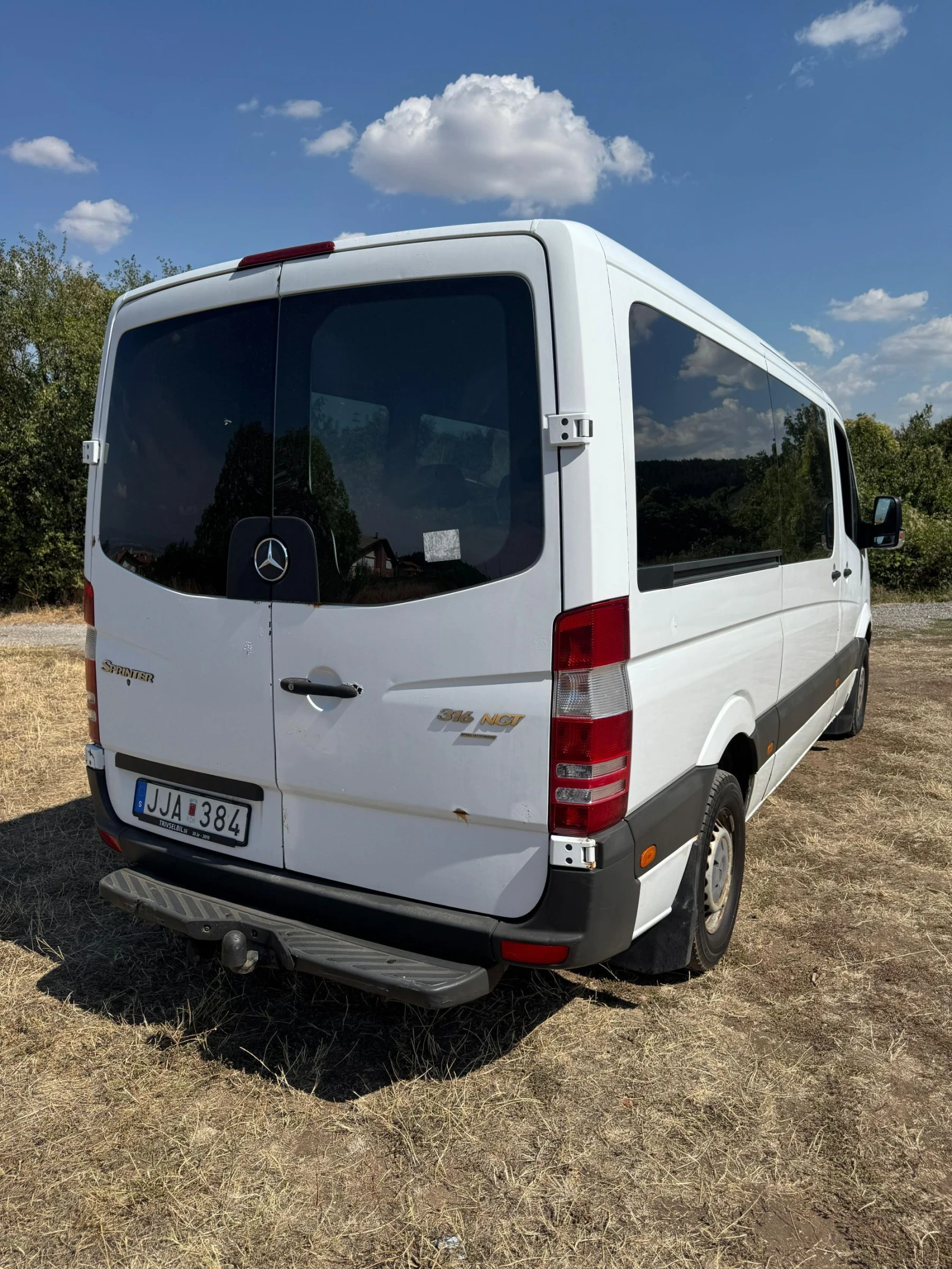 Mercedes-Benz Sprinter 316 316 NGT  - изображение 2
