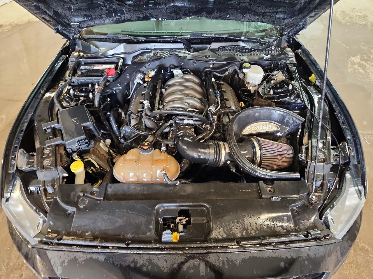 Ford Mustang 5.0l Gt, снимка 11 - Автомобили и джипове - 55580692